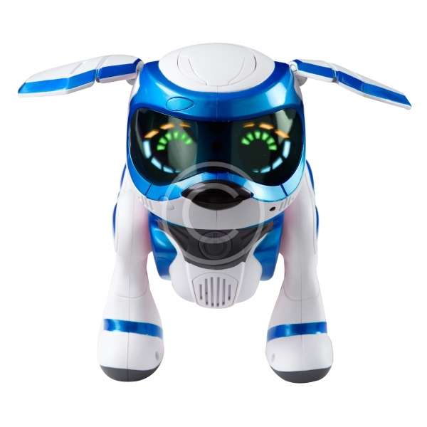 Teksta Puppy - Image 4